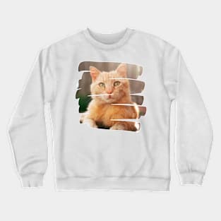 funny cats, cats lover Crewneck Sweatshirt